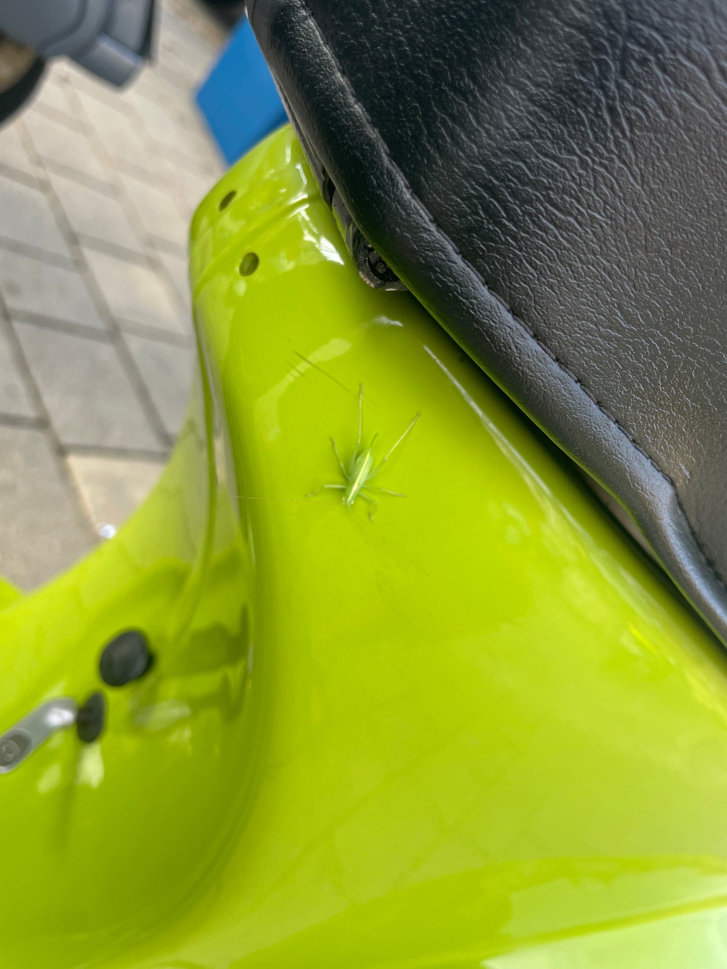 Vespa 50S "Vela Merde"